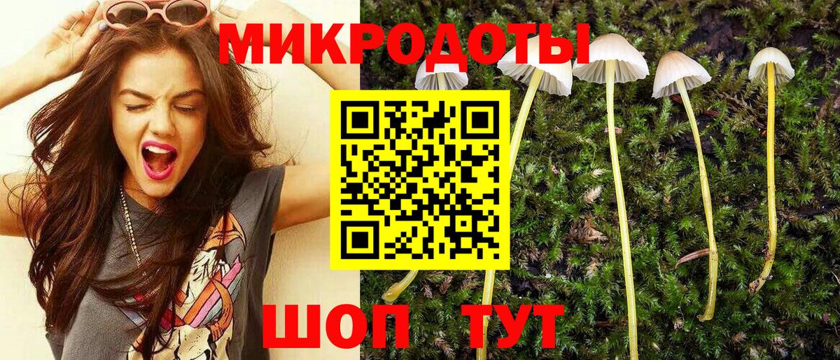 Ахтубинск  Галлюциногенные грибы Psilocybine cubensis  Вход с VPN 